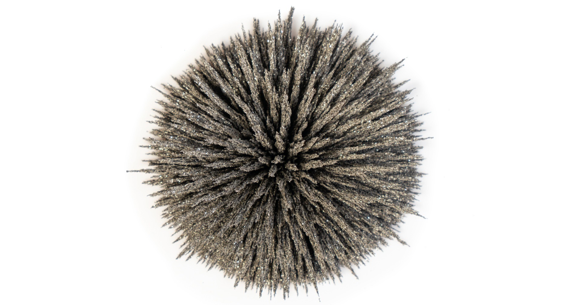 iron filings over strong circle magnet